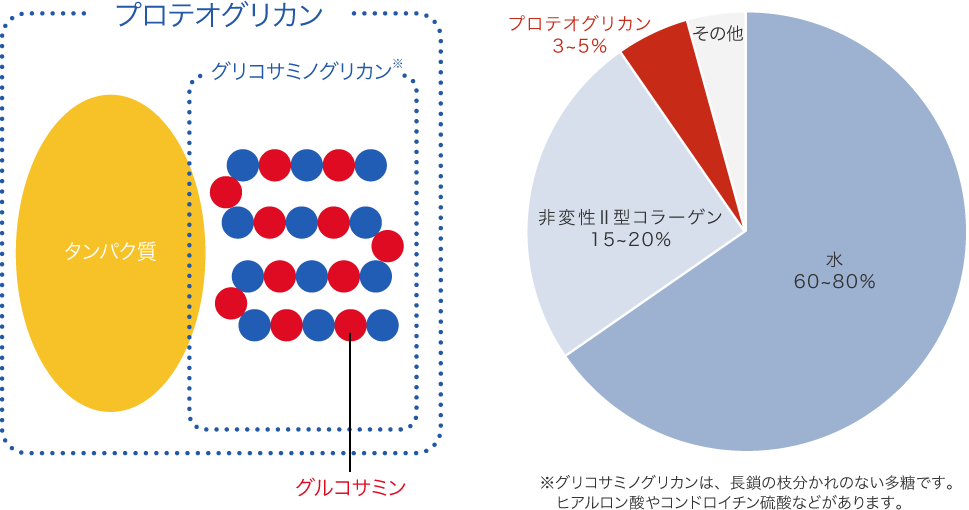 軟骨の構成成分